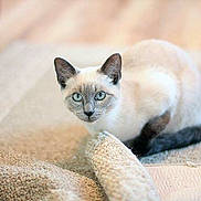 Louna participe au concours pour gagner de l'argent avec cette photo :