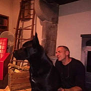 Nelson a rejoint le concours — aidez-le/la à gagner de superbes lots ! dog, man, indoor, black_dog, crouching, wooden_ladder, red_chair, fan, tile_floor, rustic, fireplace, crate, pet, companion, home, animal, person, casual, friendship, relaxing