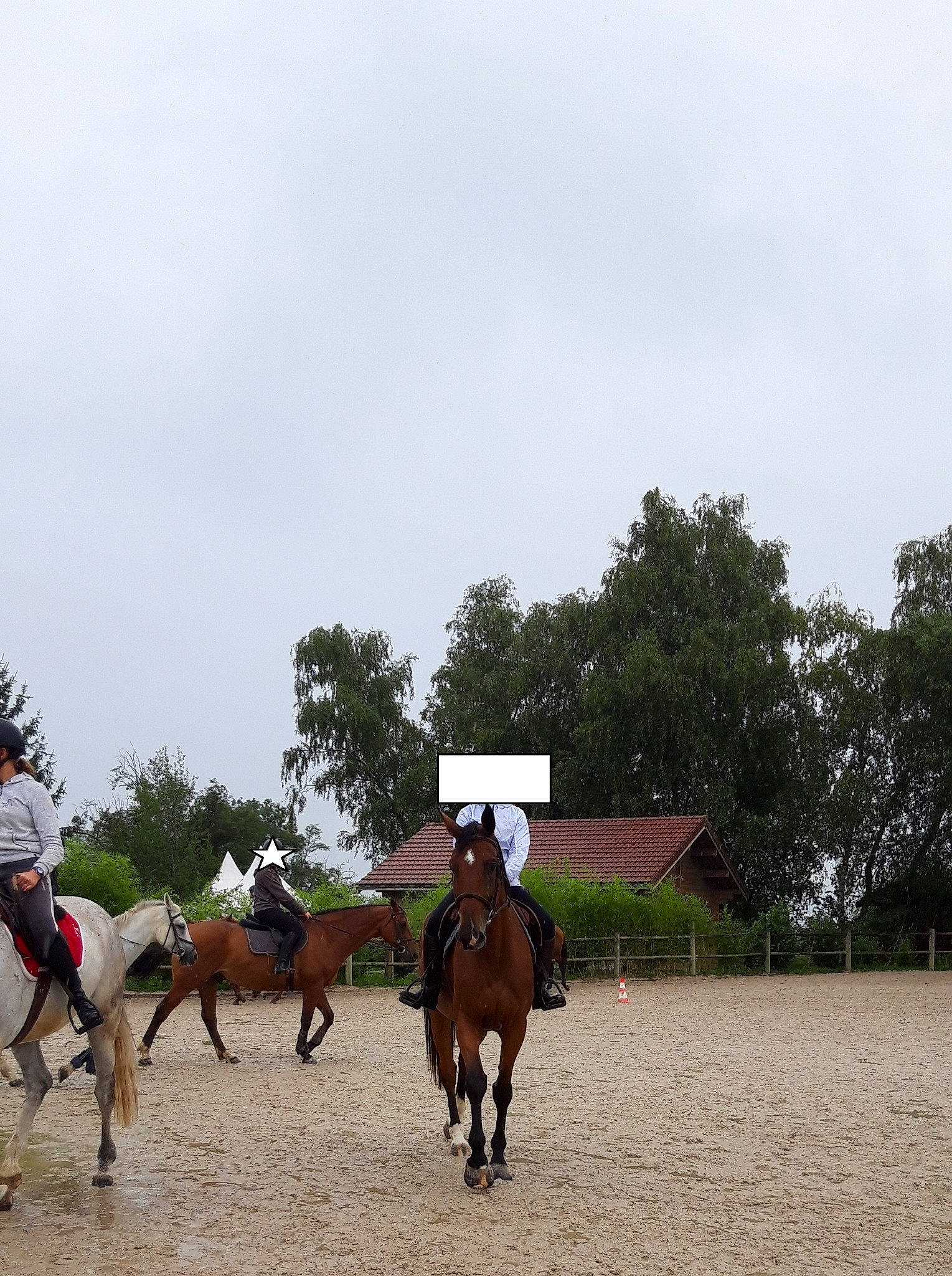 Gandor a rejoint le concours — aidez-le/la à gagner de superbes lots ! animal_sports, bridle, equestrian_sport, equestrianism, equitation, halter, horse, horse_supplies, horse_tack, horse_trainer, jockey, mammal, mare, ranch, recreation, rein, saddle, sports, stallion, tree