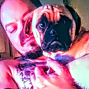 Winstin Harvala joined the competition — help win amazing prizes! man, dog, pug, face, portrait, indoor, tattoo, hand, snuggling, pet, closeup, warm_lighting, colorful, cozy, expression, animal, person, holding, casual, relaxed