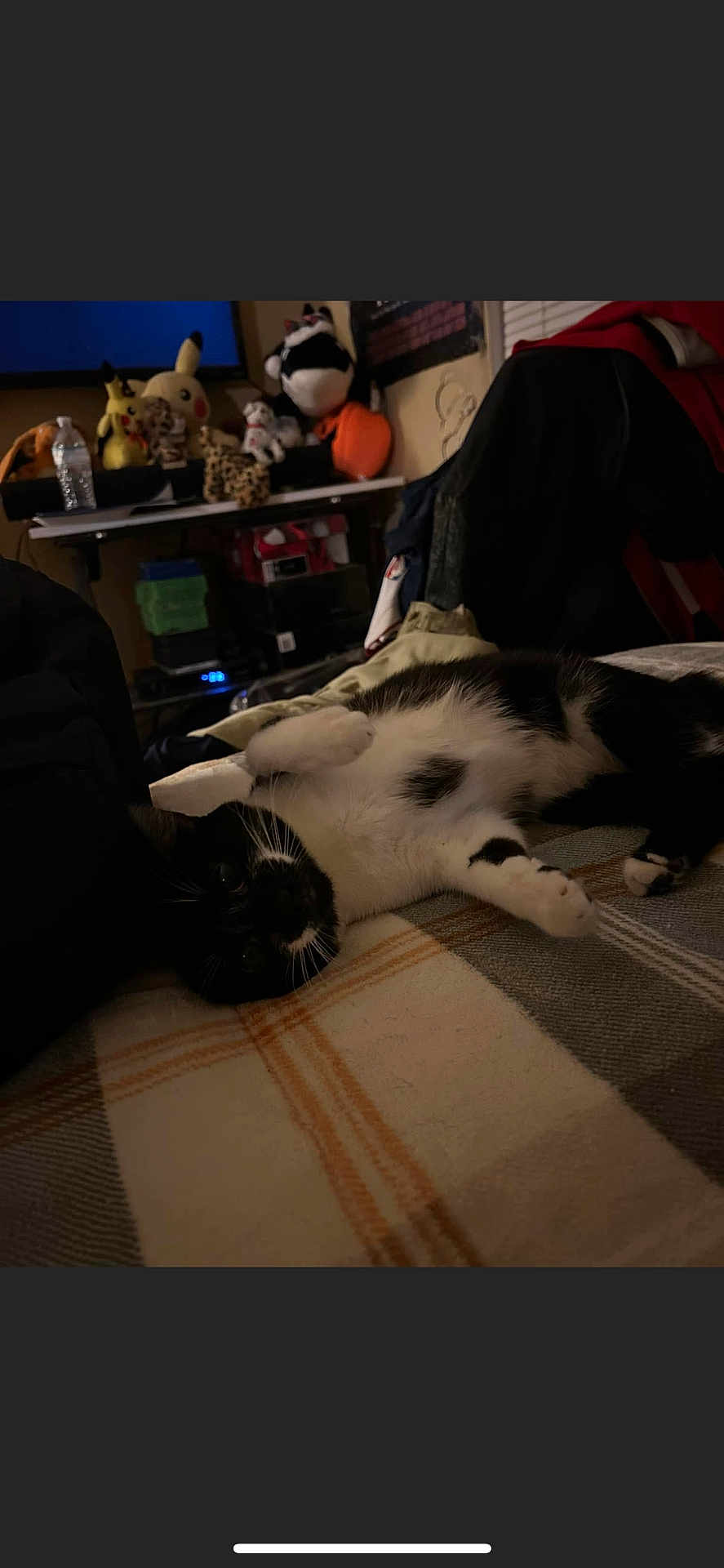 Oreo