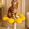 cat, kitten, orange_tabby, pet, flower_shaped_perch, yellow, indoor, furniture, curious, young_cat, animal, cute, fluffy, floor, marble, decor, plant, wall_paneling, toy, playful
