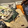 Dozer is registered to the contest to win money with this photo: dog, blanket, dog_bed, sleeping, face, indoor, floor, wooden_floor, furniture, cozy, resting, pet, fabric, plaid, cushion, warm, relaxing, home, calm, peaceful