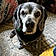 Dozer