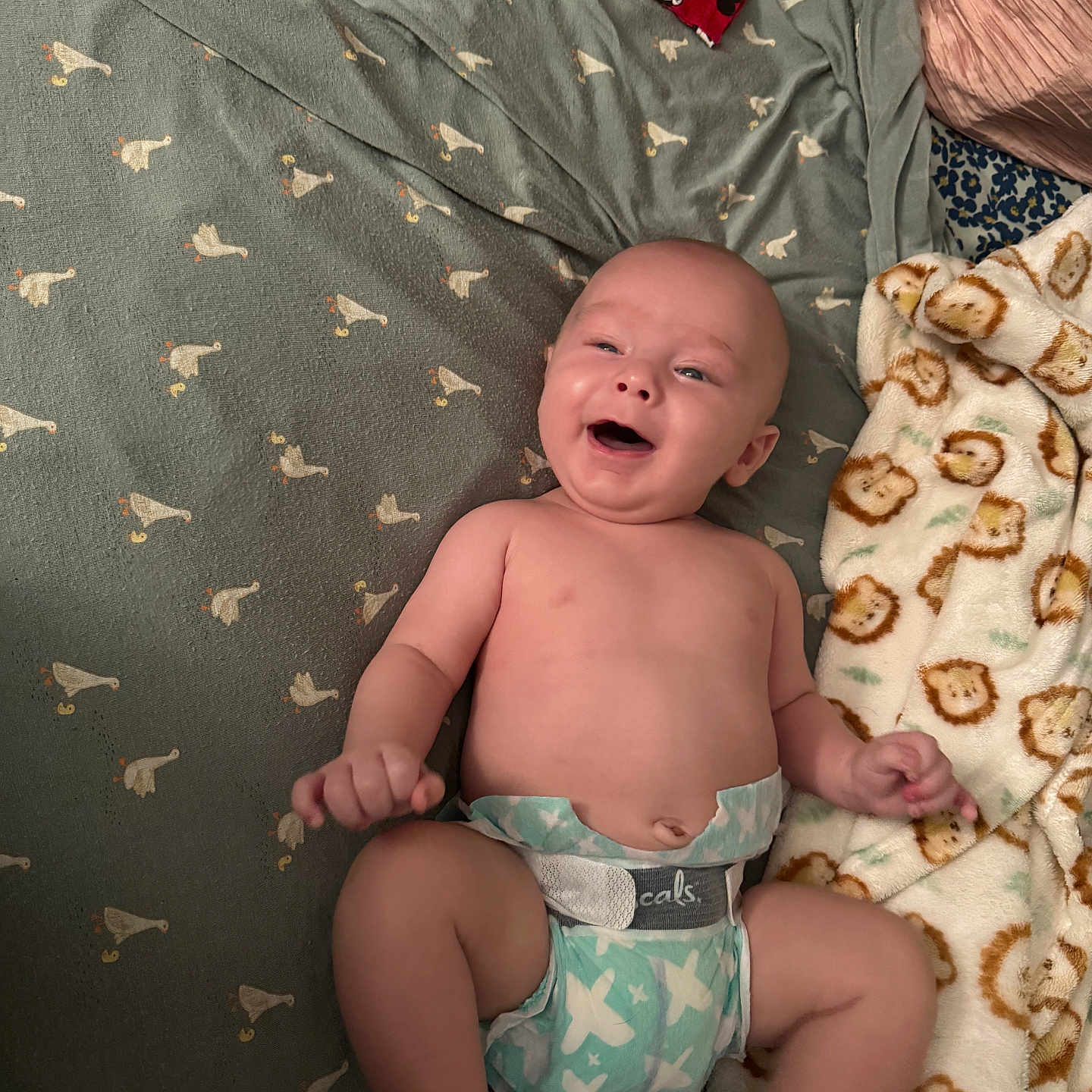 Nolan joined the competition — help win amazing prizes! baby, diaper, smiling, lying_down, blanket, duck_pattern, lion_pattern, mickey_mouse_clothing, bed, happy, infant, cute, child, indoor, soft_toys, cozy, skin, expression, young, comfort