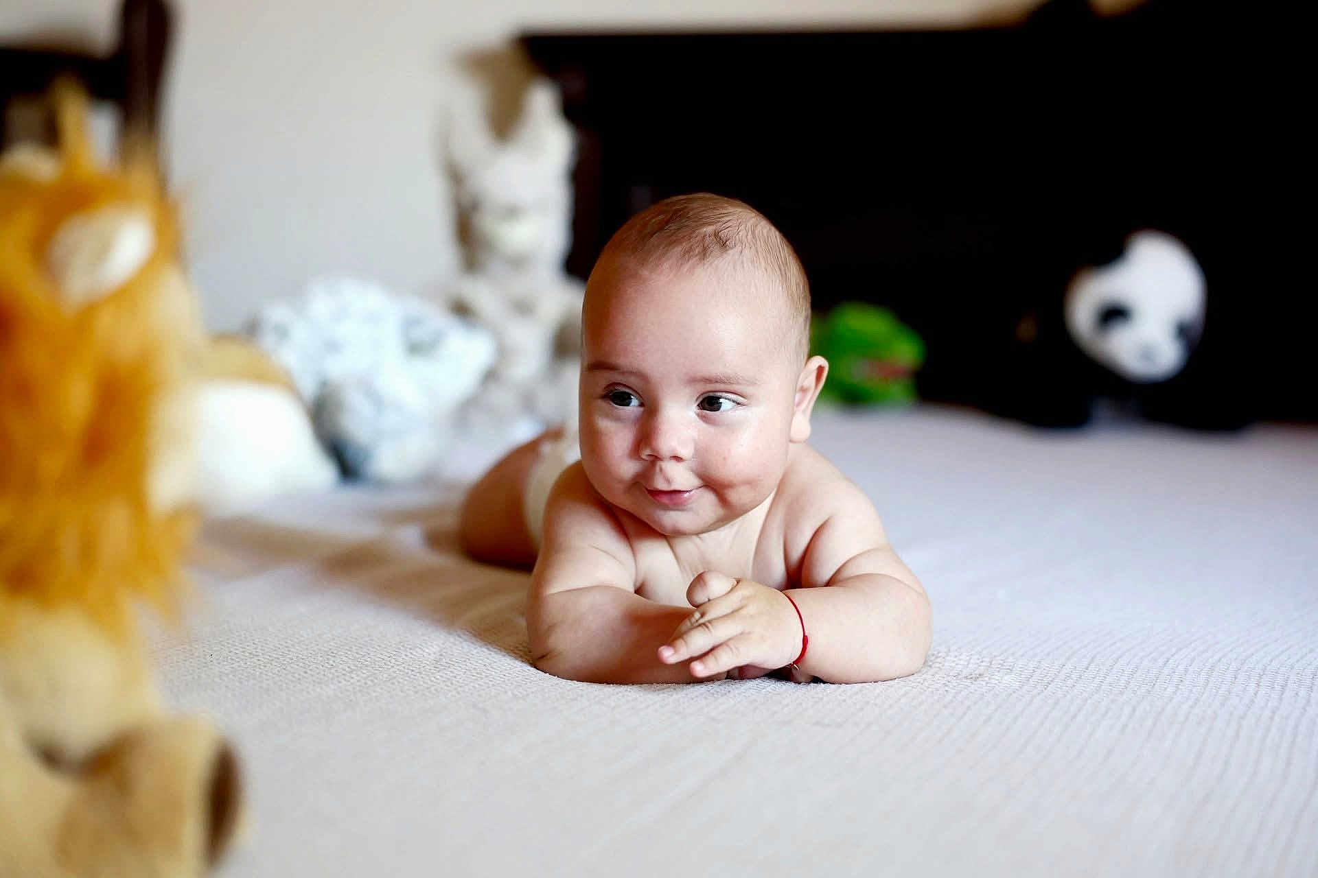 Victor participe au concours pour gagner de l'argent avec cette photo : baby, infant, smiling, lying_down, plush_toy, bed, soft_toys, indoor, cute, child, playful, portrait, skin, expression, young, baby_boy, toy_lion, toy_panda, cozy, relaxed