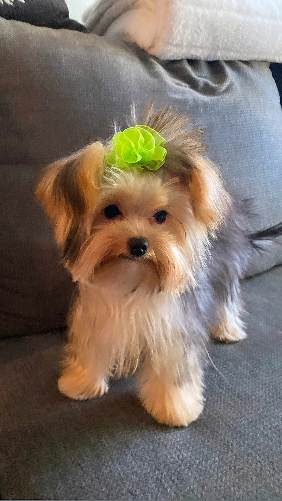 Bella