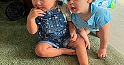 Haisley joined the competition — help win amazing prizes! toddler, child, indoor, carpet, denim_overalls, blue_shirt, barefoot, water_bottles, green_carpet, curly_hair, sitting, crawling, wooden_furniture, person, floor, expression, household, footwear, candid, curiosity