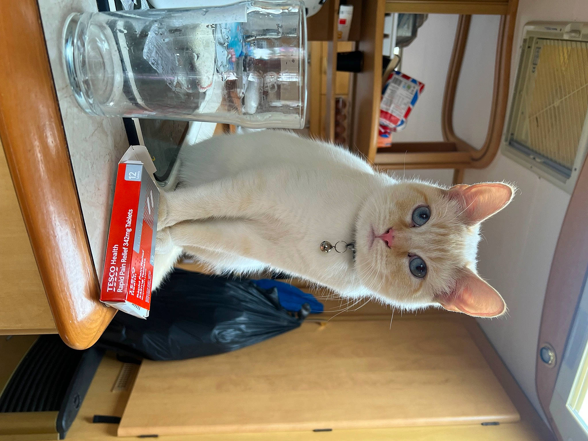 Pablo is registered to the contest to win money with this photo: box, carnivore, cat, domestic_short_haired_cat, fawn, felidae, fur, home_appliance, machine, paper_product, room, small_to_medium_sized_cats, tail, whiskers, wood