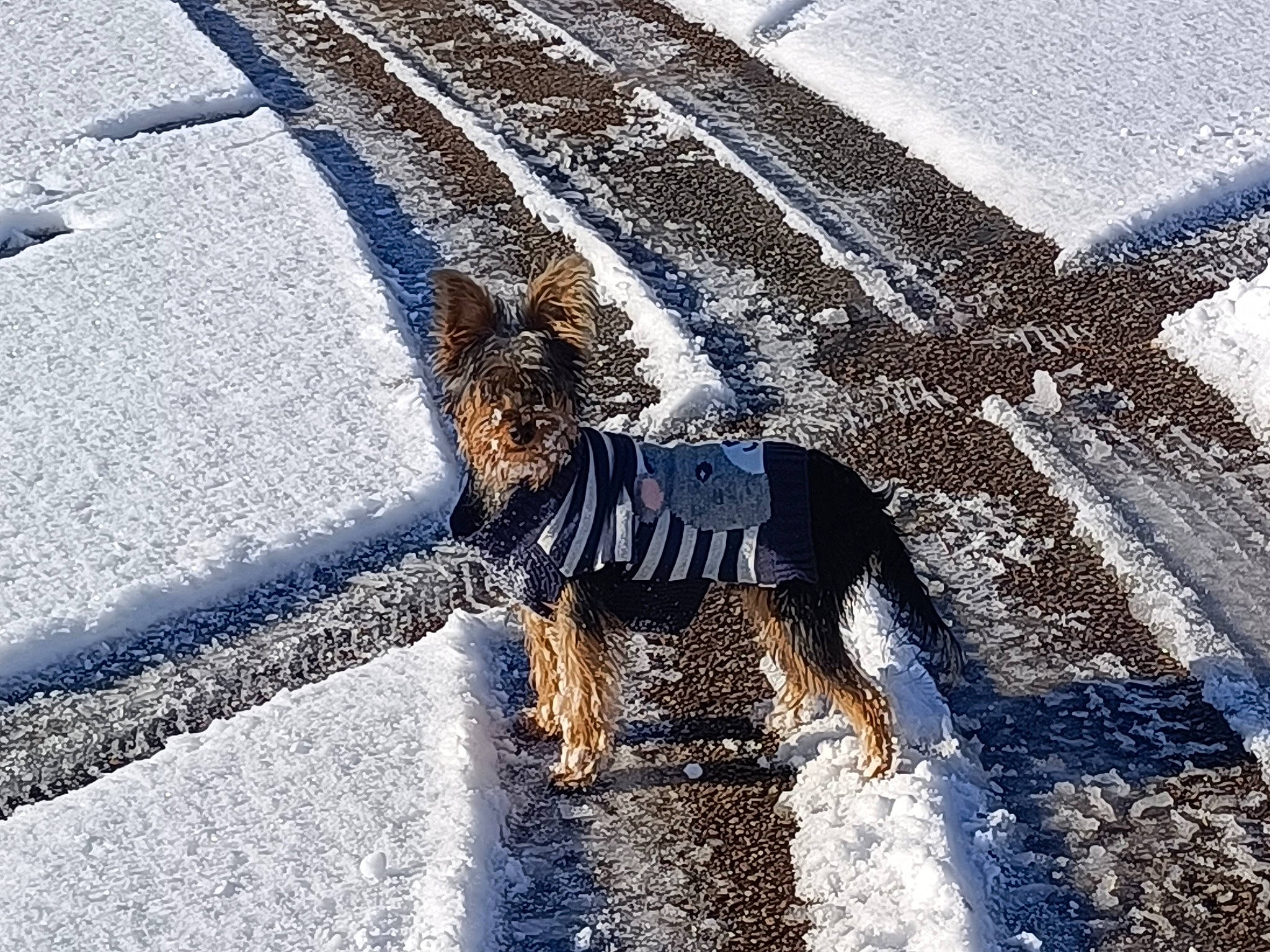 Zizou participe au concours pour gagner de l'argent avec cette photo : asphalt, automotive_tire, city, concrete, electric_blue, freezing, landscape, manhole, people_in_nature, public_space, road, road_surface, sanitary_sewer, sidewalk, storm_drain, tar, tints_and_shades, tire, winter, wood