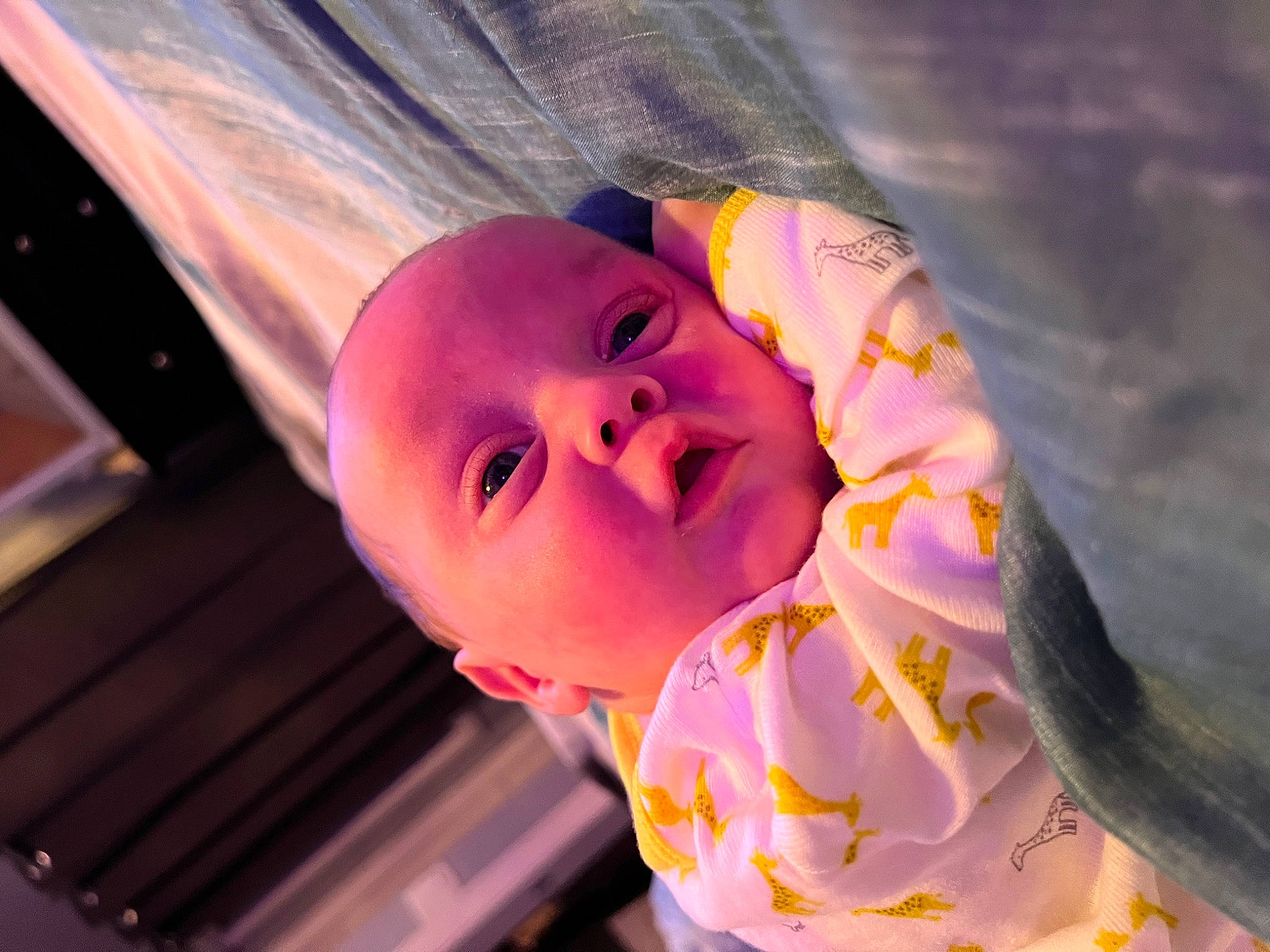 Kaison joined the competition — help win amazing prizes! baby, baby_toddler_clothing, cheek, child, eyelash, fun, happy, hat, lip, magenta, nose, orange, person, petal, portrait_photography, purple, toddler