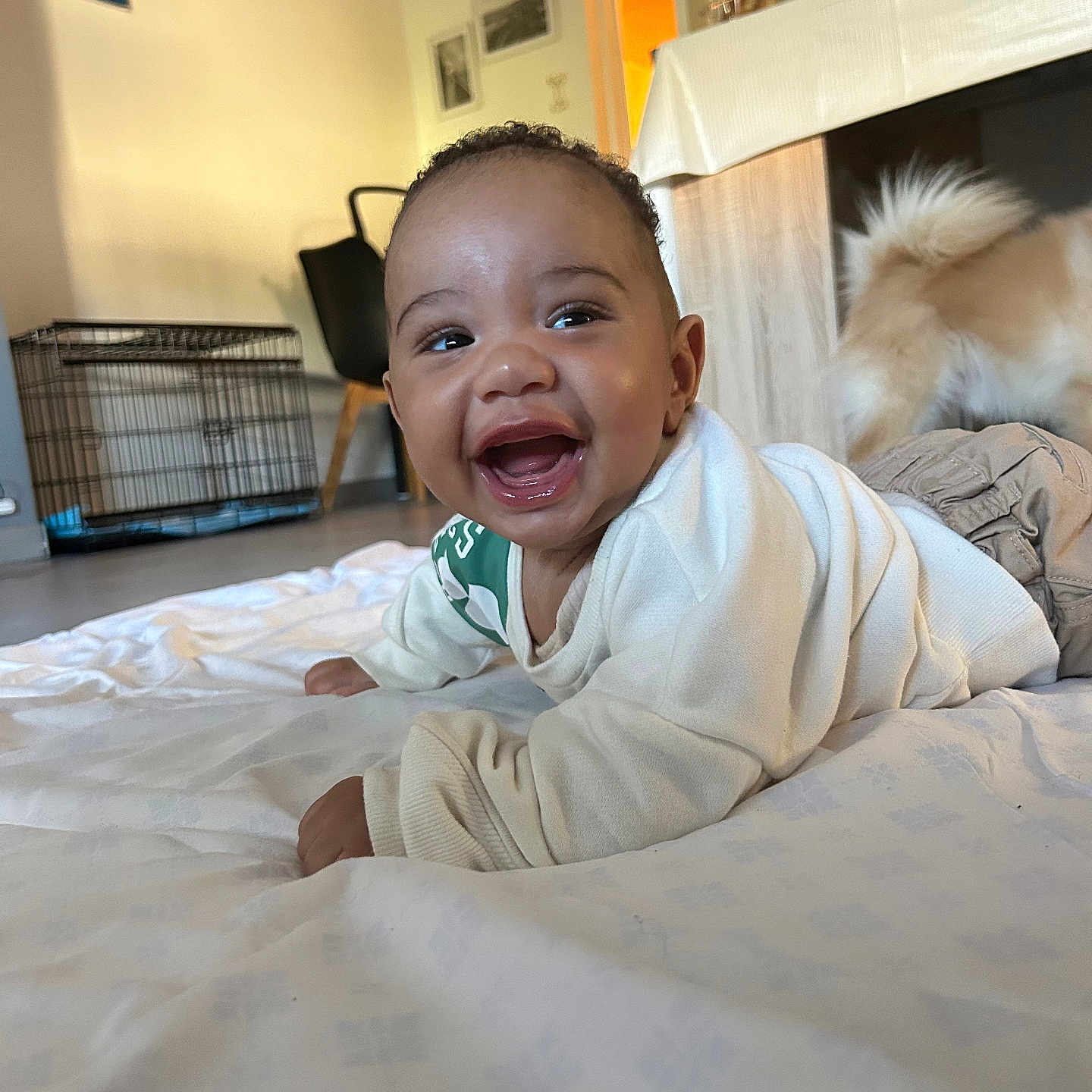Loyal participe au concours pour gagner de l'argent avec cette photo : baby, blanket, casual, cheerful, child, cute, dog_tail, floor, furniture, happy, home, indoor, lying_down, person, playful, portrait, room, smiling, toddler, white_clothing