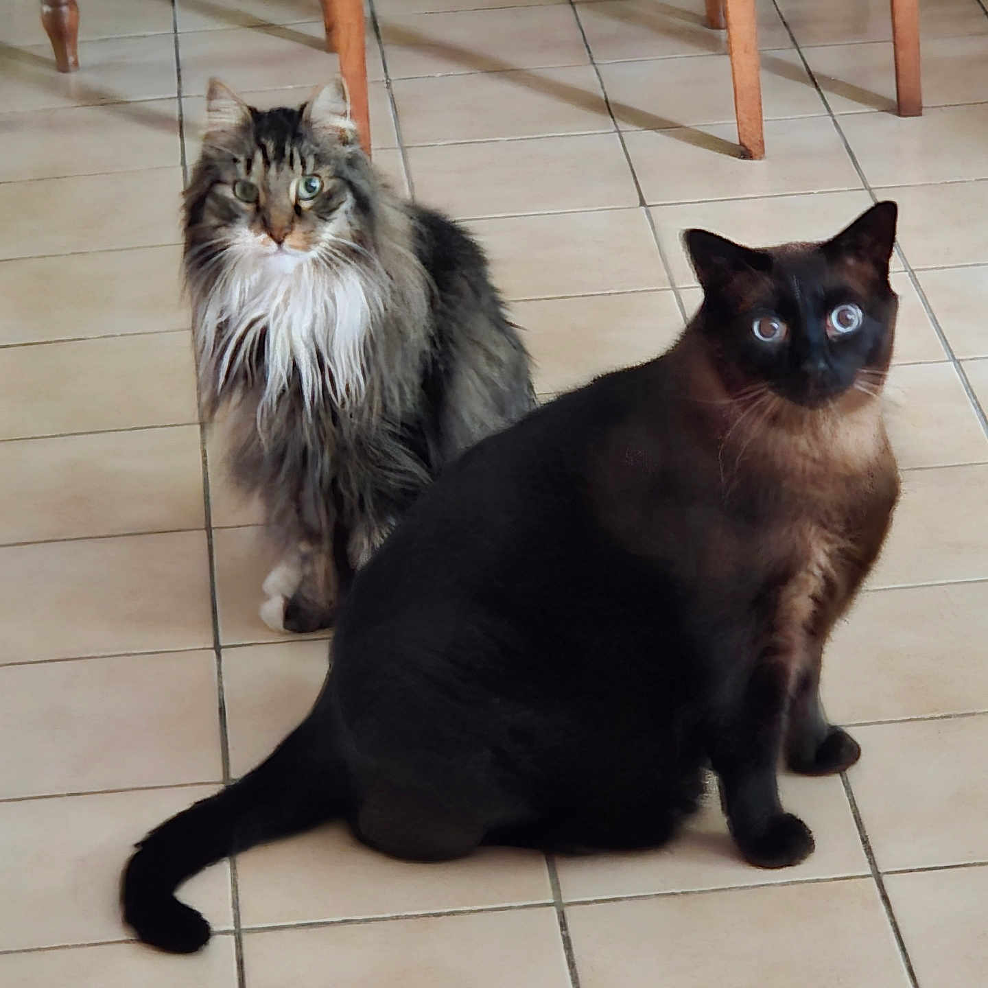 Ghost Et Moon
