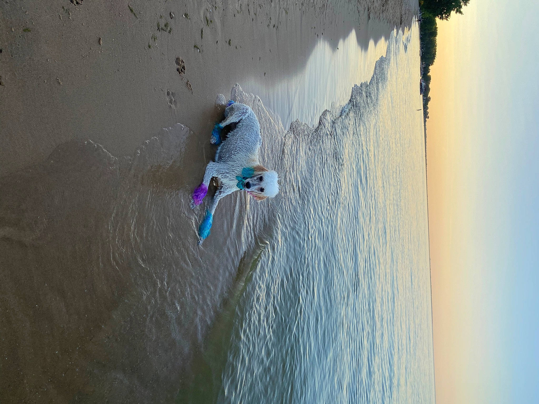 Faye is registered to the contest to win money with this photo: extreme_sport, photography