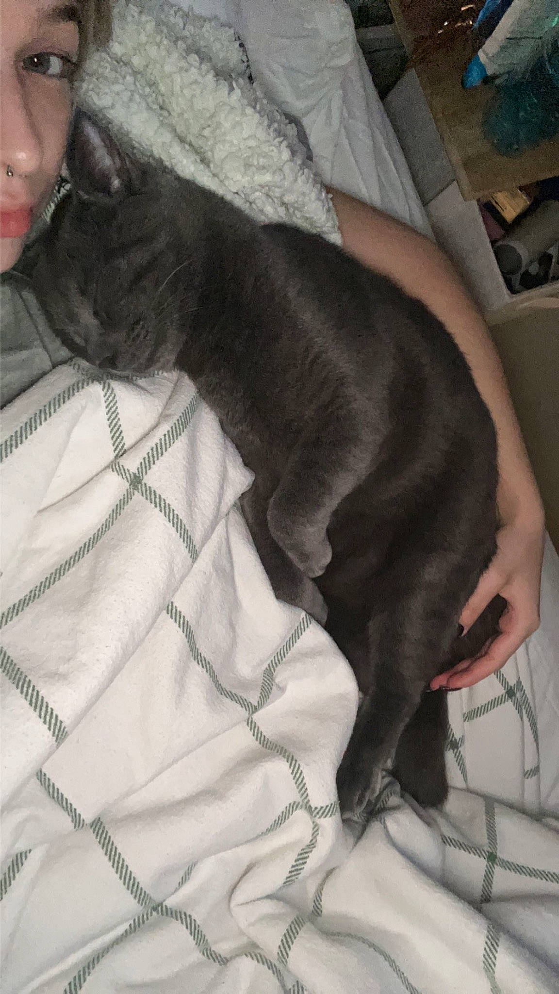 Aura is registered to the contest to win money with this photo: black_cat, carnivore, comfort, companion_dog, dog, dog_breed, domestic_short_haired_cat, ear, felidae, fur, gesture, grey, linens, nap, paw, small_to_medium_sized_cats, snout, sporting_group, tail, whiskers