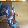 Casper is registered to the contest to win money with this photo: cat, furniture, room