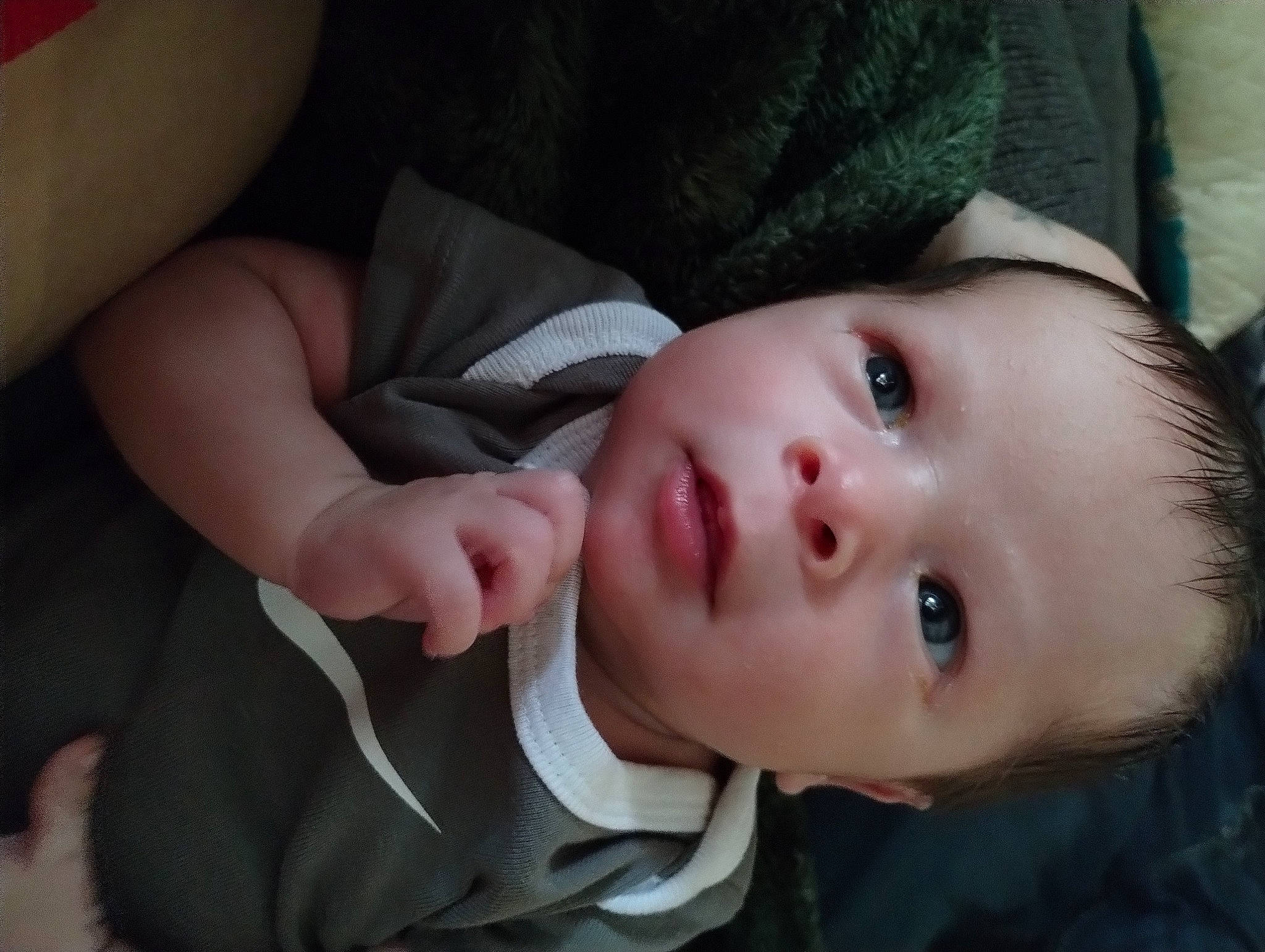 Nazario is registered to the contest to win money with this photo: baby, baby_toddler_clothing, cheek, child, chin, comfort, eyelash, flash_photography, grass, hat, iris, lip, no_expression, nose, person, portrait_photography, skin, sleeve, toddler, tree