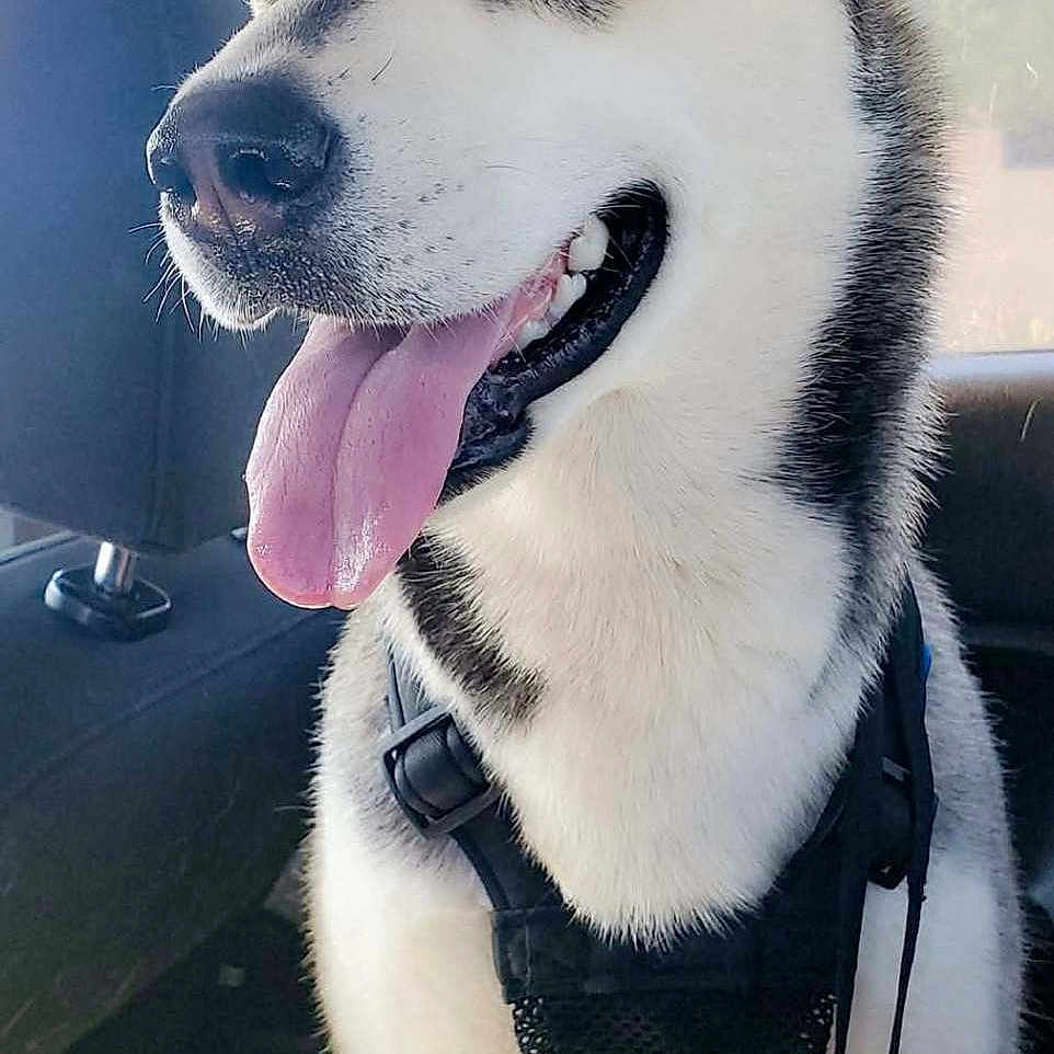 Luna