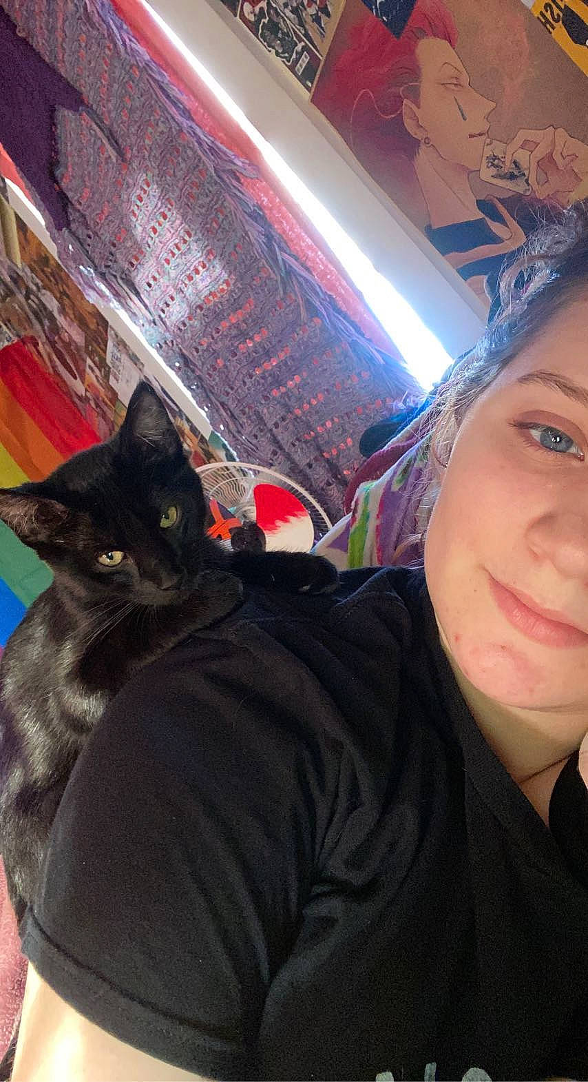 Moon joined the competition — help win amazing prizes! black_hair, carnivore, cat, cool, ear, eye, felidae, fun, happy, iris, jaw, long_hair, mouth, organ, skin, small_to_medium_sized_cats, smile, snapshot, tree, whiskers