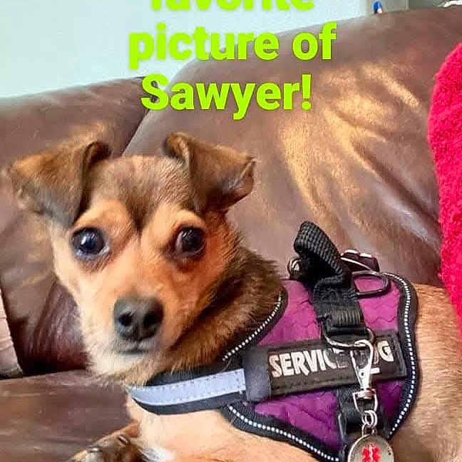 Sawyer