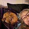 woman, dog, blanket, glasses, smile, indoor, bed, pillow, sleeping_dog, curled_up, cozy, relaxed, person, head, face, resting, casual, comfort, fur, pet