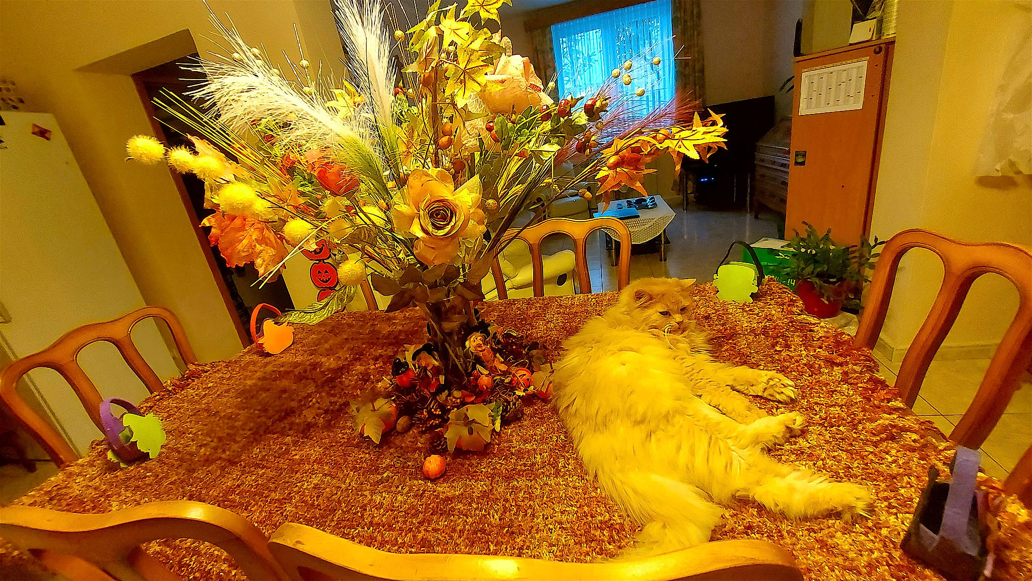 Nono participe au concours pour gagner de l'argent avec cette photo : artificial_flower, carnivore, centrepiece, chair, christmas_decoration, cut_flowers, decoration, event, felidae, floral_design, floristry, flower, flower_arranging, houseplant, ornament, plant, toy, twig, window, yellow