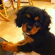 Winston joined the competition — help win amazing prizes!