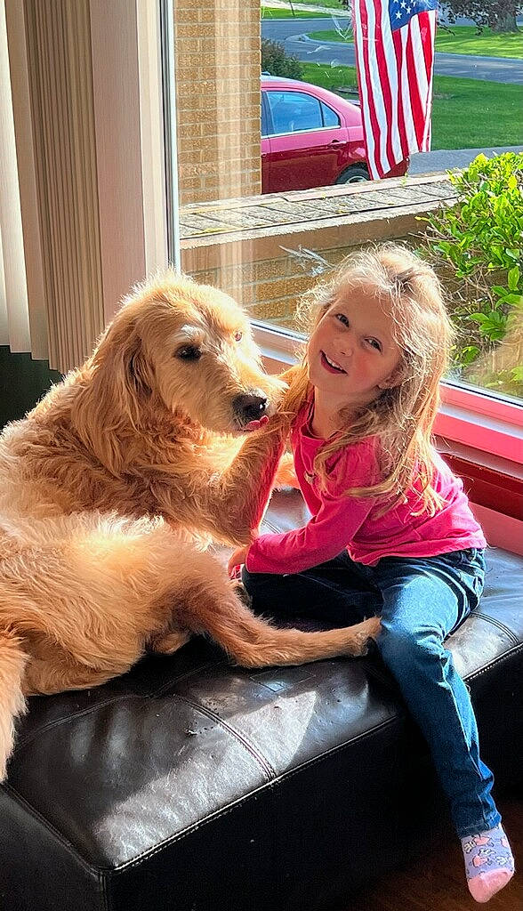 Charleigh is registered to the contest to win money with this photo: blond, bumper, canidae, carnivore, companion_dog, dog, dog_breed, fawn, flag, fun, fur, grass, happy, joy, leisure, person, plant, recreation, sitting, smile