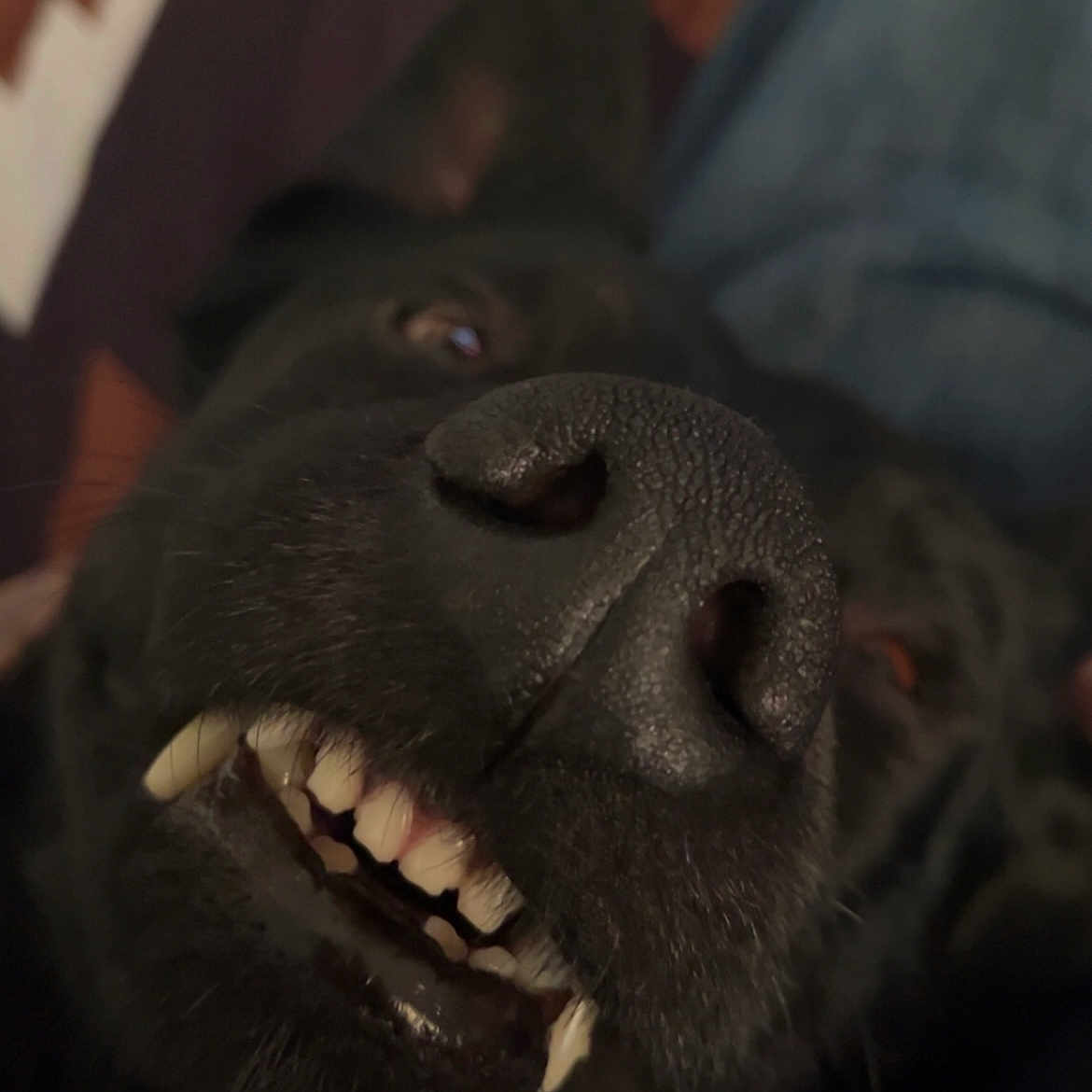 Chumba