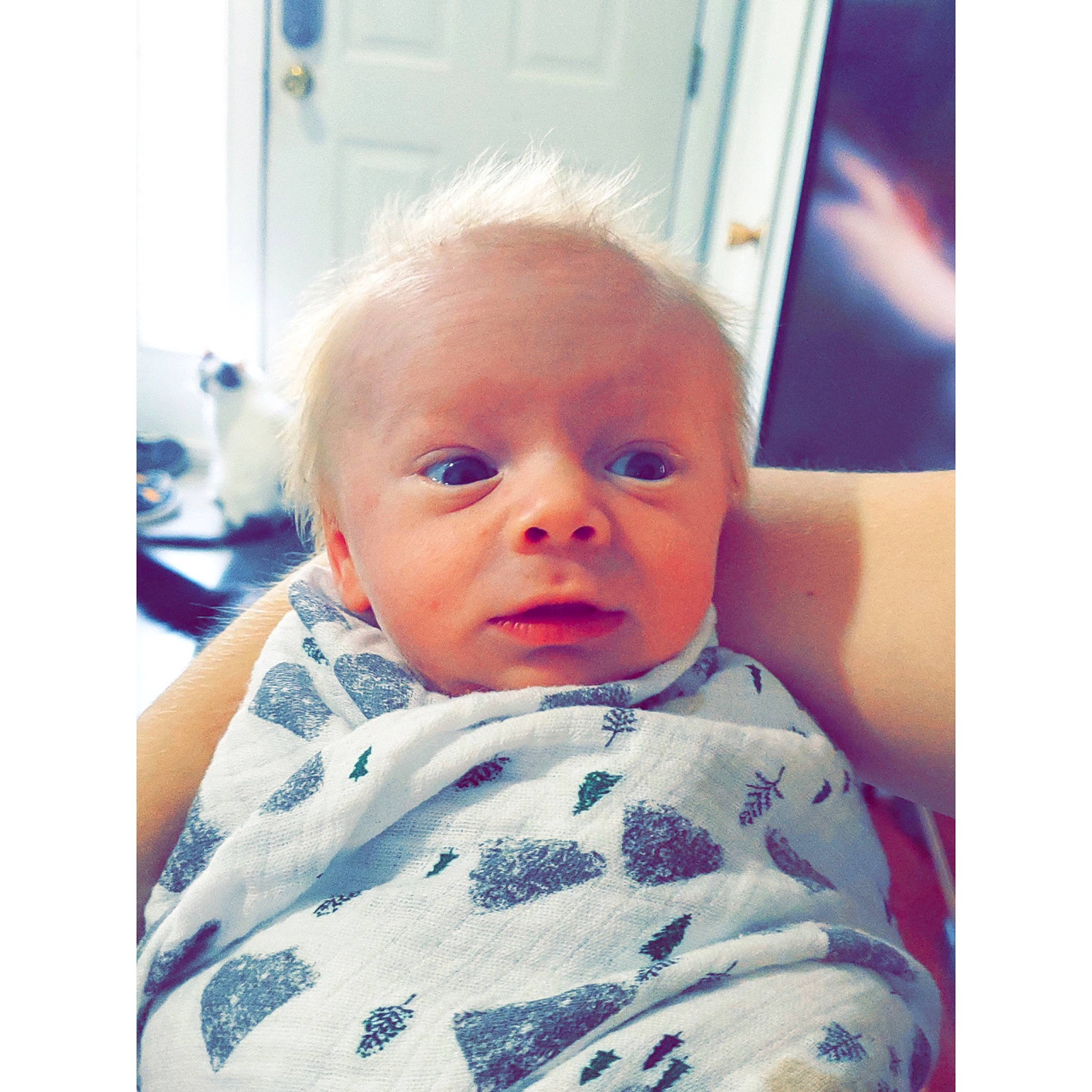 Tayden is registered to the contest to win money with this photo: baby, beauty, cheek, child, cloud, cool, ear, eye, face, forehead, head, lip, mouth, neck, nose, person, selfie, skin, sky, smile