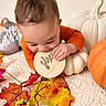 Matteo is registered to the contest to win money with this photo: baby, child, infant, portrait, autumn, fall, pumpkin, pumpkins, leaves, orange_clothing, wooden_sign, cozy, blanket, indoor, seasonal, harvest, sitting, crawling, face, natural_light