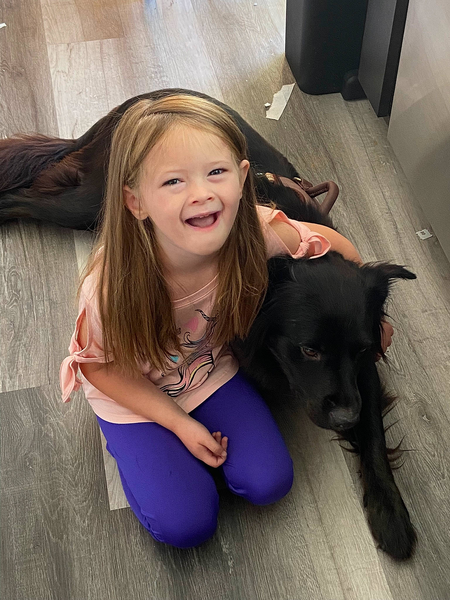 Mya is registered to the contest to win money with this photo: black_hair, brown_hair, carnivore, companion_dog, cool, dog, dog_breed, flash_photography, floor, flooring, fun, gesture, happy, human_leg, iris, joy, long_hair, person, sitting, skin