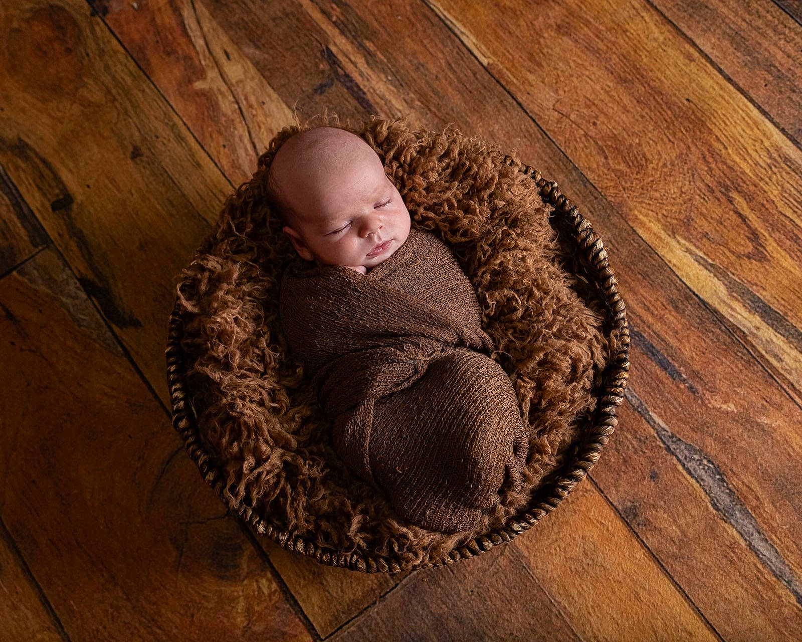 Brett joined the competition — help win amazing prizes! baby, brown, comfort, fur, hardwood, home_accessories, laminate_flooring, nap, person, sleep, sweater, varnish, wood, wood_flooring, wood_stain, wool, woolen