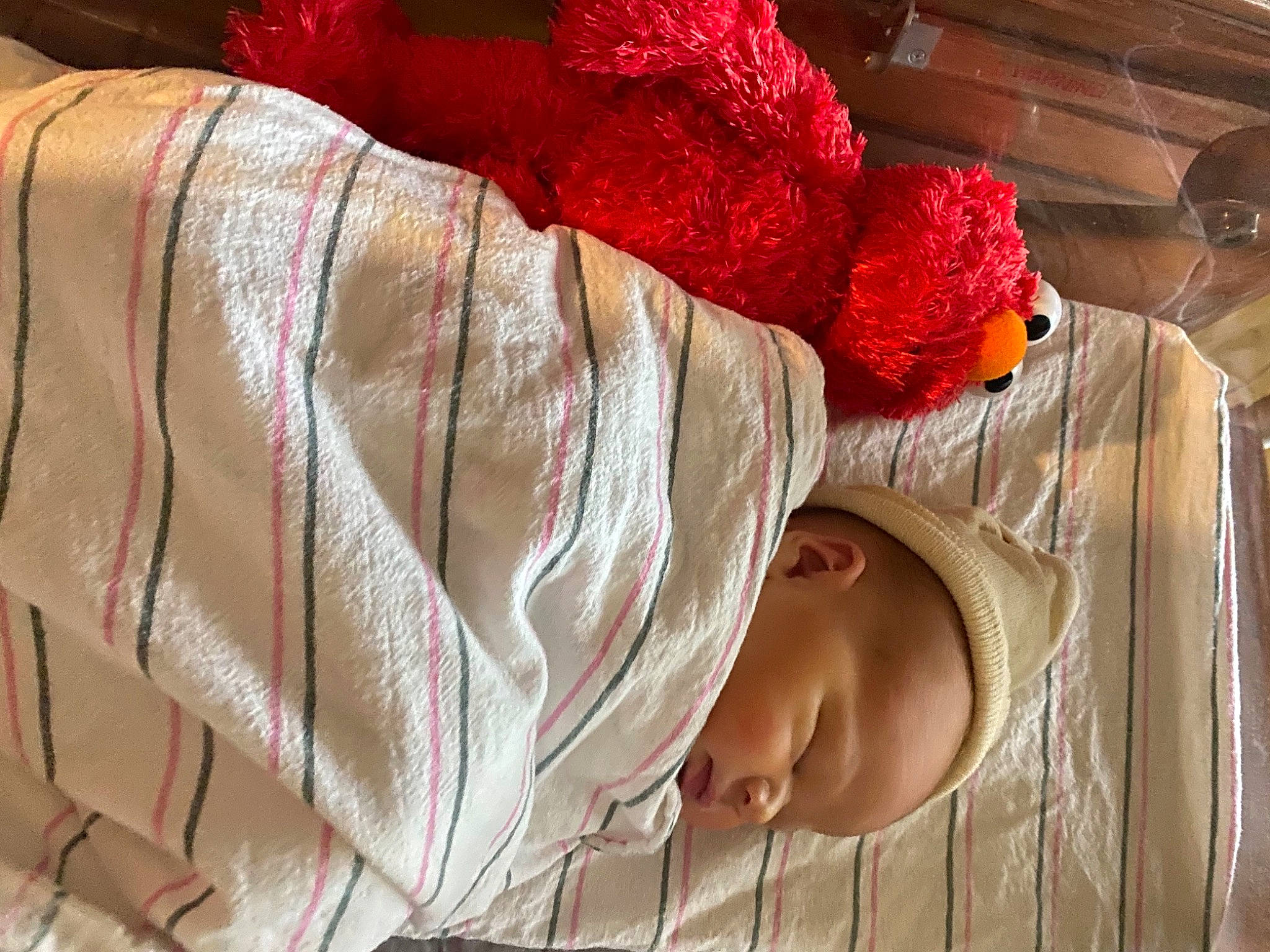 Brett is registered to the contest to win money with this photo: baby, baby_toddler_clothing, bonnet, carmine, cheek, child, coquelicot, costume_accessory, flesh, human, mouth, nose, peach, person, red, skin, stuffed_toy, textile, toddler