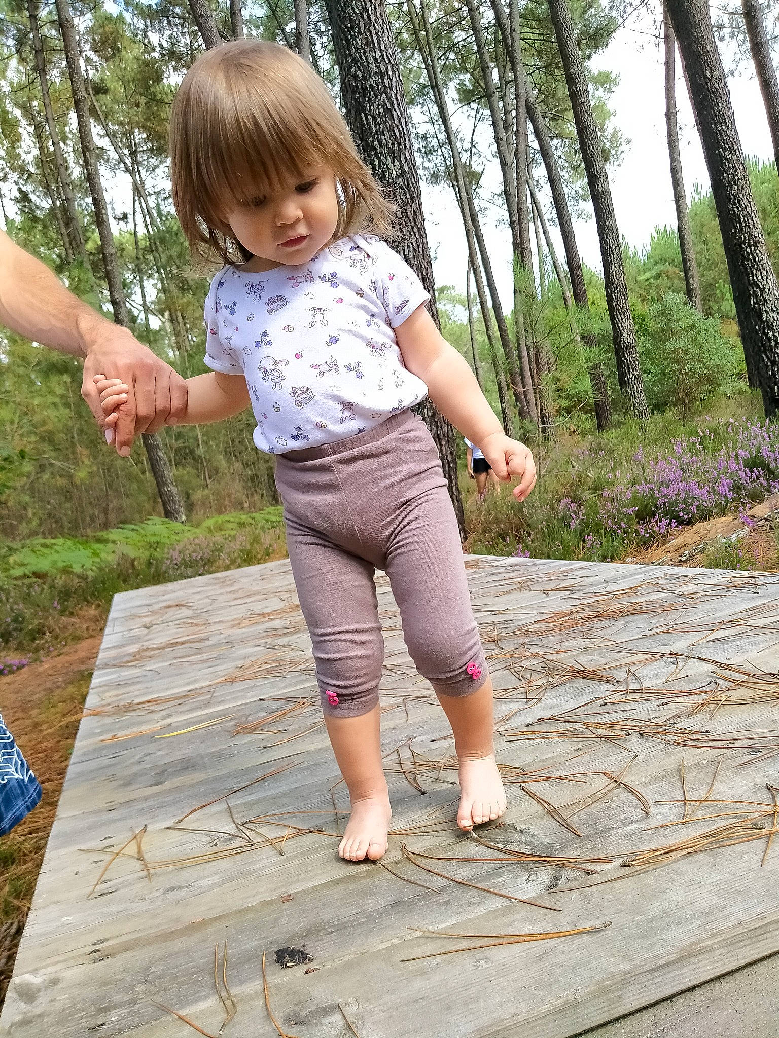Lexie participe au concours pour gagner de l'argent avec cette photo : barefoot, child, foot, fun, grass, hand, human_leg, joint, leisure, pattern, people, people_in_nature, person, plant, recreation, sleeve, thigh, toddler, tree, waist