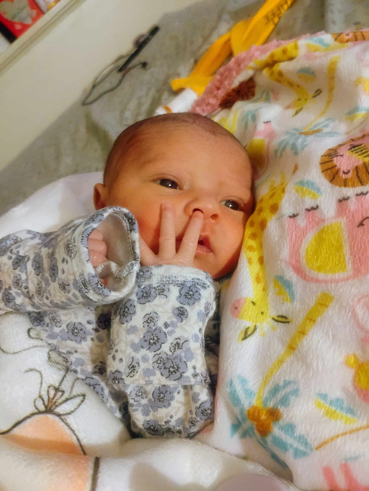 Jordyn is registered to the contest to win money with this photo: baby, newborn, infant, face, hand, blanket, animal_print, soft_texture, curious, indoors, sleepwear, cute, child, portrait, closeup, resting, cozy, colorful, person, young