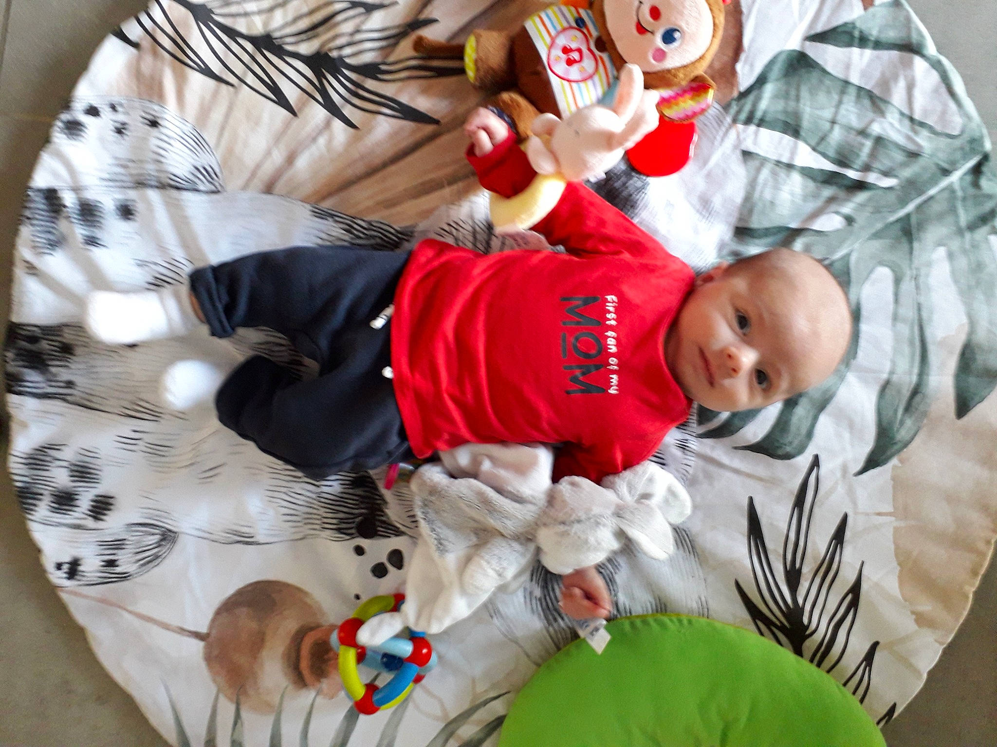 Juliann participe au concours pour gagner de l'argent avec cette photo : baby, baby_products, baby_toddler_clothing, carmine, child, christmas, christmas_eve, comfort, event, fictional_character, happy, holiday, lap, mammal, person, sleeve, smile, t_shirt, toddler, vertebrate