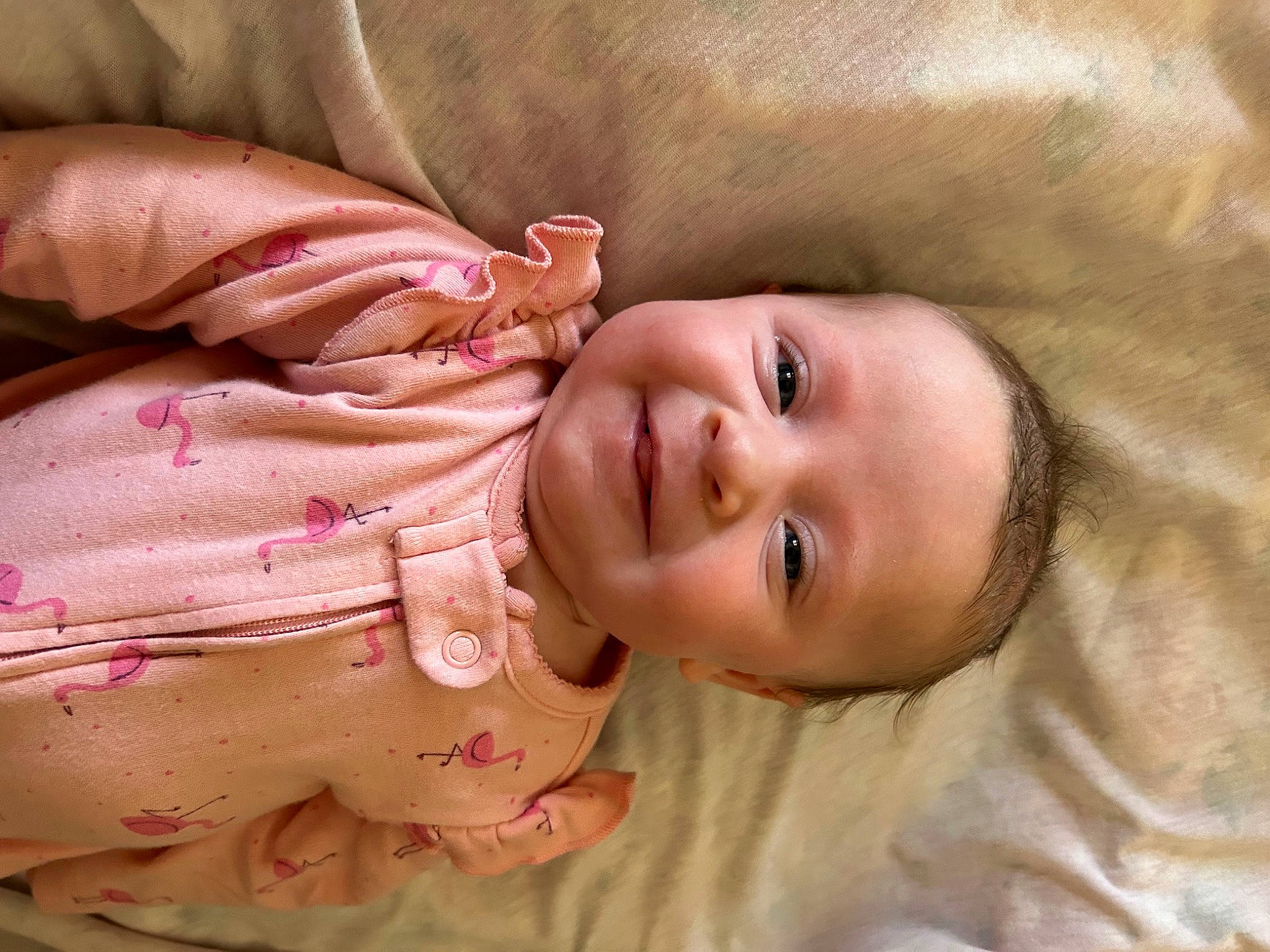 Quinn is registered to the contest to win money with this photo: arm, baby, cheek, chin, eye, eyebrow, eyelash, face, hair, happy, head, human_body, iris, joy, lip, mouth, neck, nose, person, skin