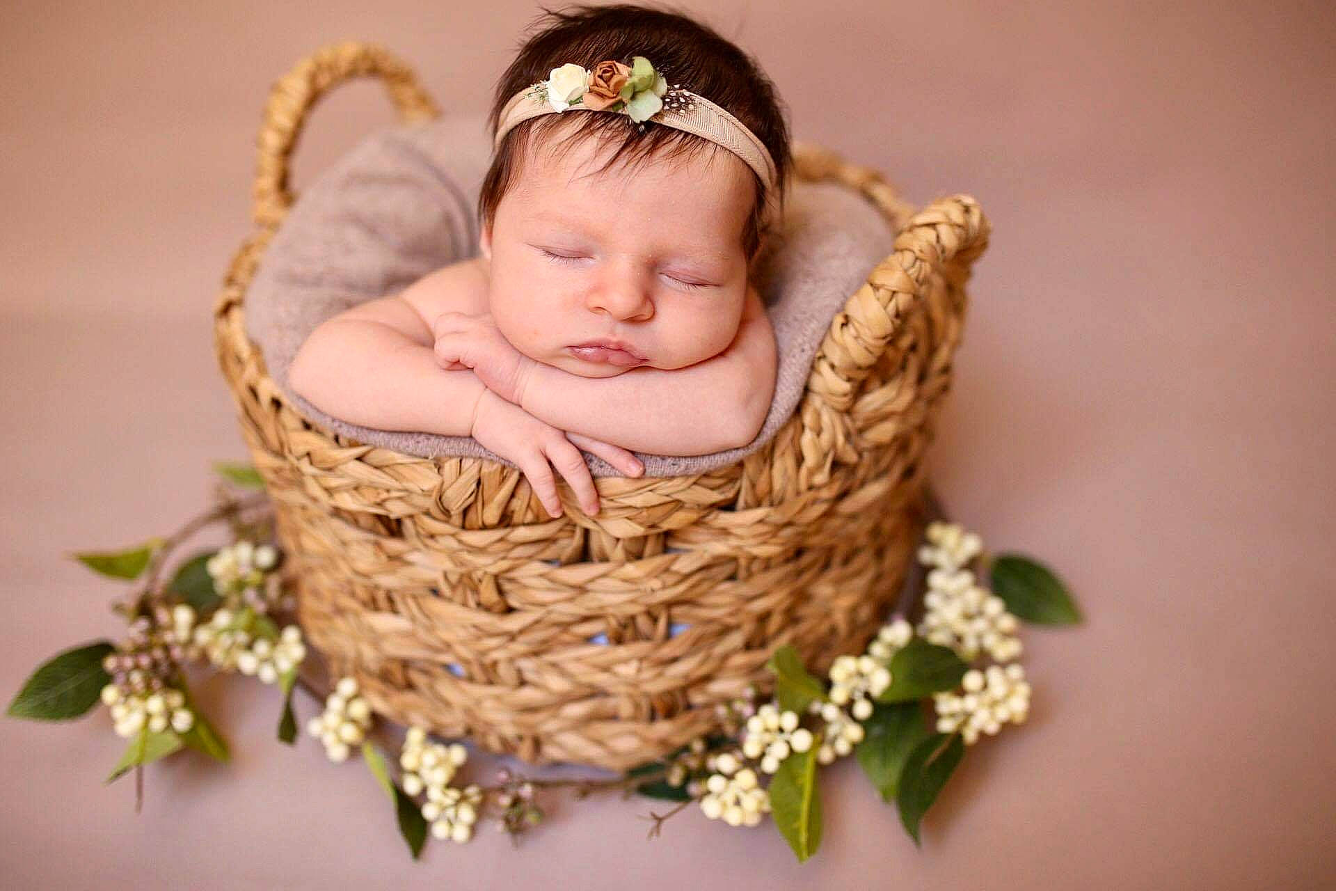 Cataleya a rejoint le concours — aidez-le/la à gagner de superbes lots ! baby, basket, child, flower_girl_basket, hair_accessory, headpiece, person, photography, plant, toddler, wedding_ceremony_supply, wicker