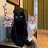black_cat, orange_cat, cat, pets, animals, flowers, vase, wooden_surface, curtains, indoor, green_eyes, feline, fur, tile_floor, decor, houseplants, still_life, portrait, companion, cute