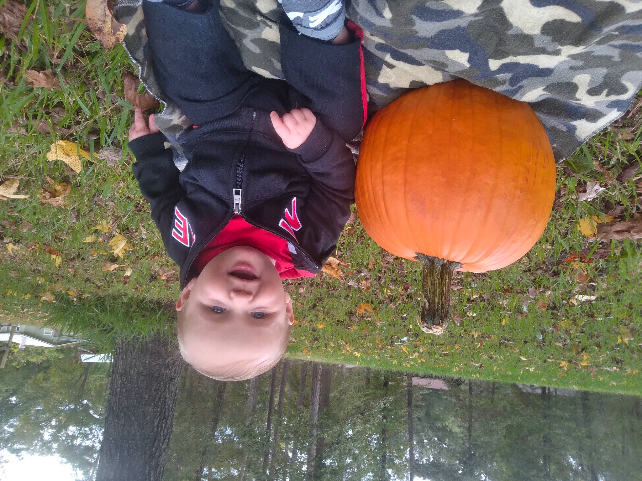 Bradley is registered to the contest to win money with this photo: backpack, fun, grass, happy, hat, leisure, organism, people_in_nature, person, plant, smile, sunglasses, t_shirt, tree, vacation