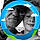 Clero X.