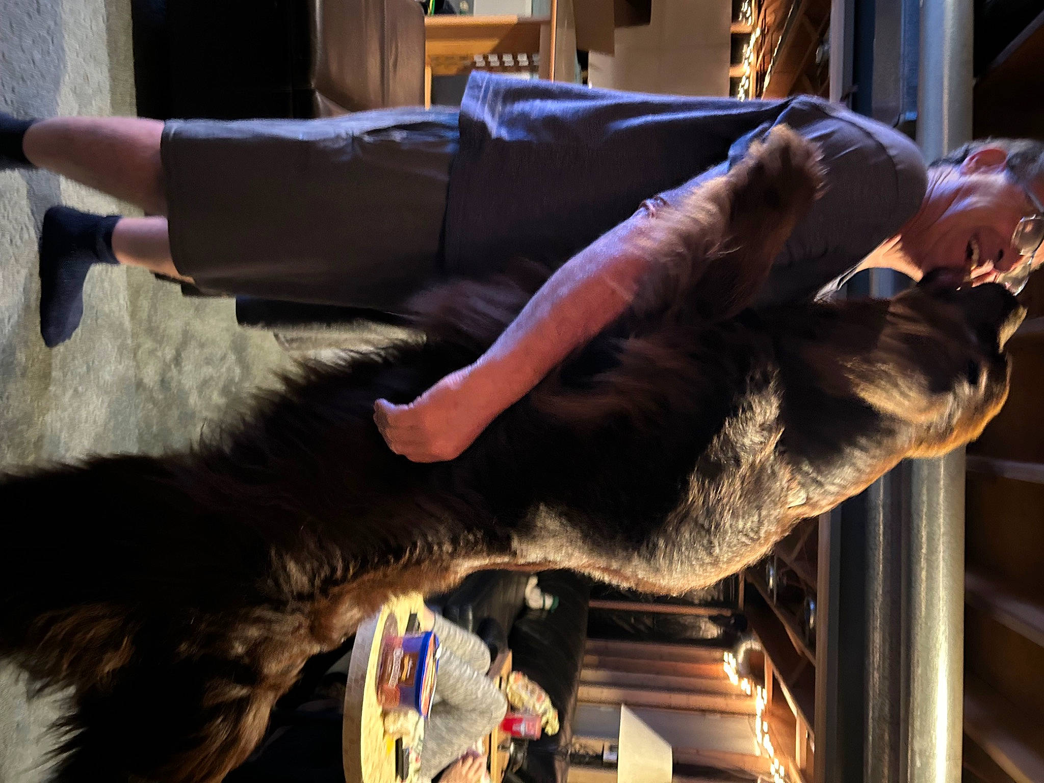 Moose joined the competition — help win amazing prizes! comfort, companion_dog, elbow, flesh, fun, fur, gesture, human_leg, lap, natural_material, sporting_group, wood, wrist