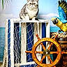 cat, parrot, crate, fishing_net, ship_wheel, barrel, rope, starfish, crab, ocean, sky, palm_leaves, wooden_floor, animal, pet, marine_theme, colorful, outdoor, nature, decor