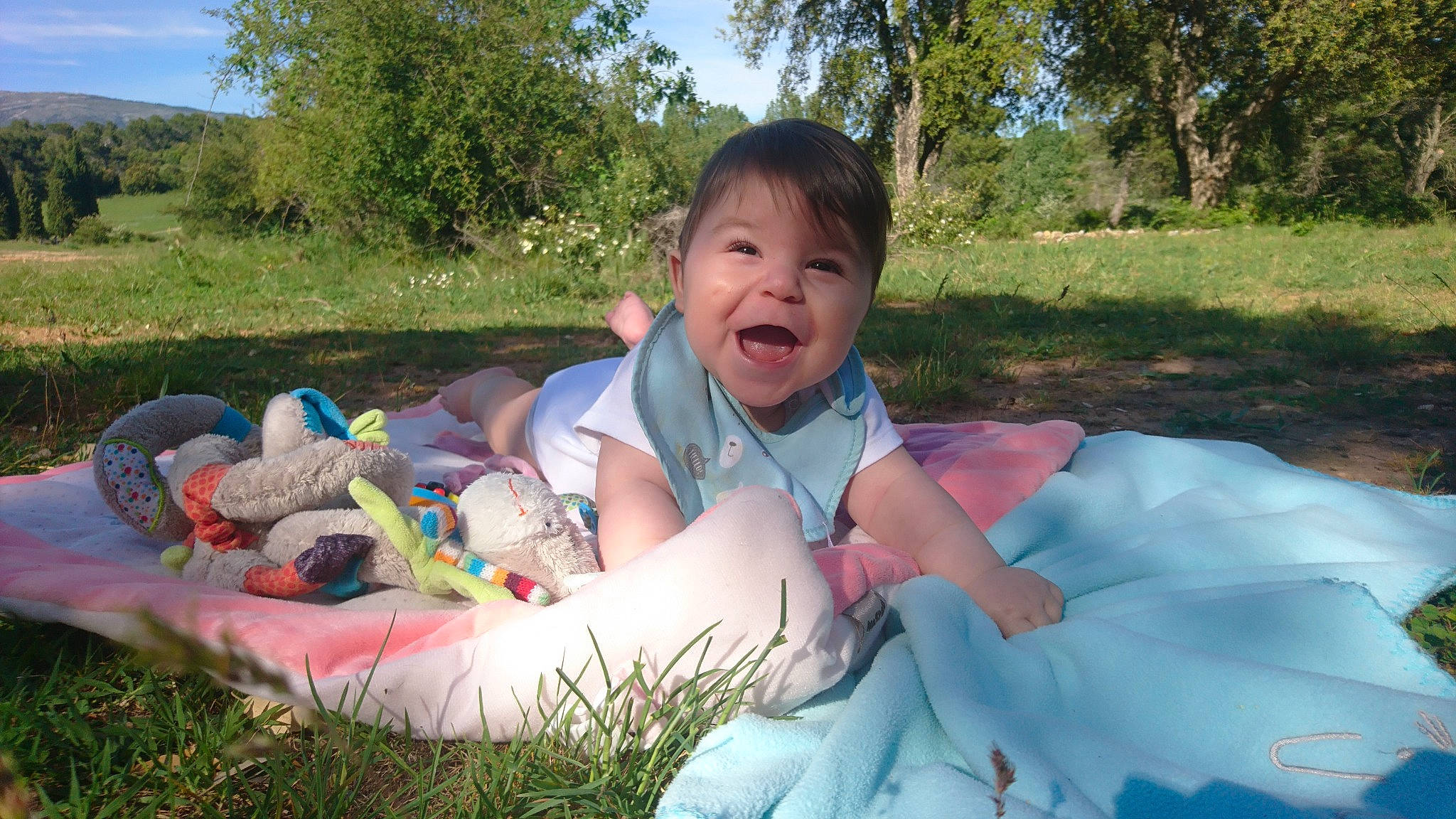 Liam participe au concours pour gagner de l'argent avec cette photo : baby, child, fun, grass, leisure, meadow, person, picnic, play, recreation, sitting, smile, summer, toddler, vacation