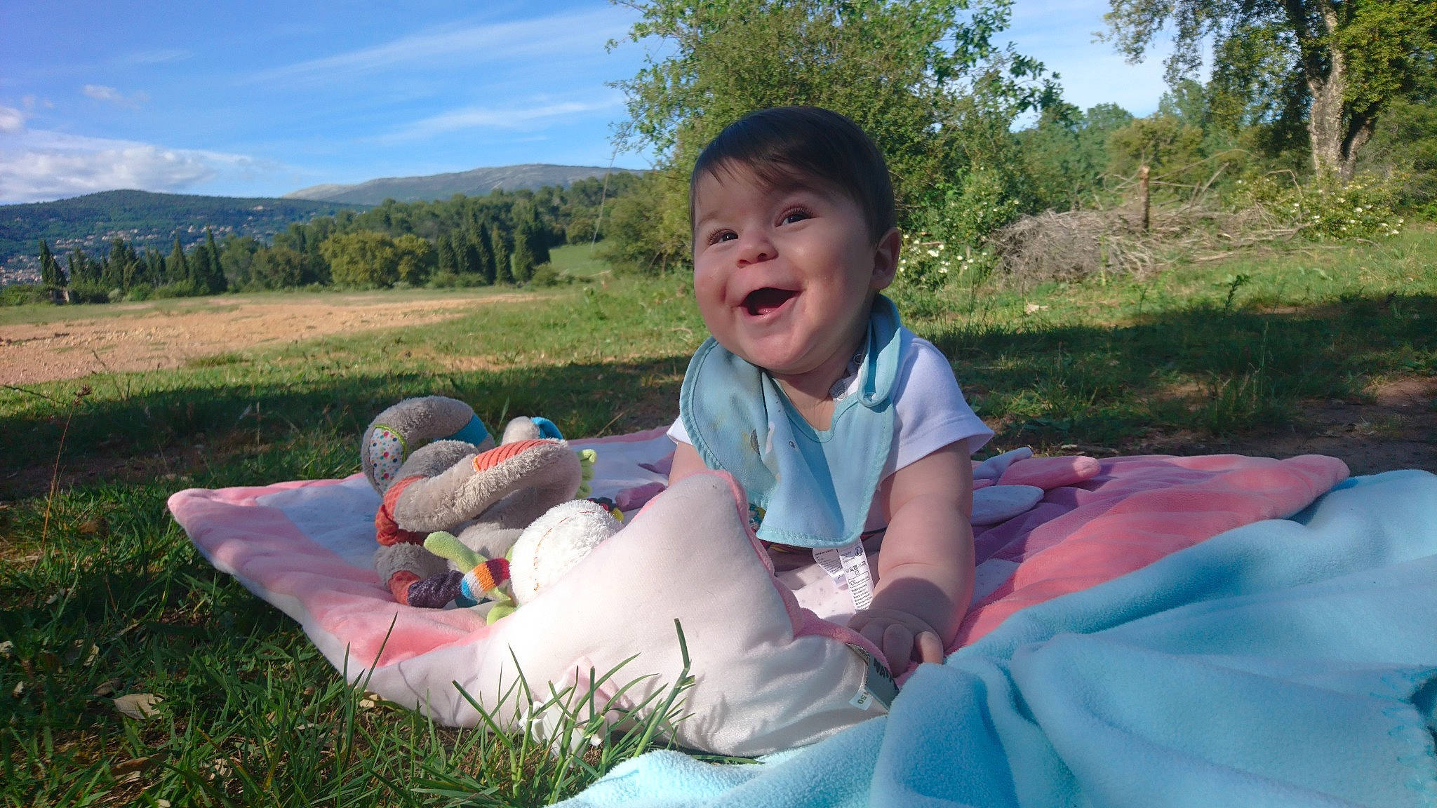 Liam participe au concours pour gagner de l'argent avec cette photo : adaptation, child, fun, grass, joy, landscape, leisure, meadow, person, picnic, play, recreation, sitting, summer, vacation