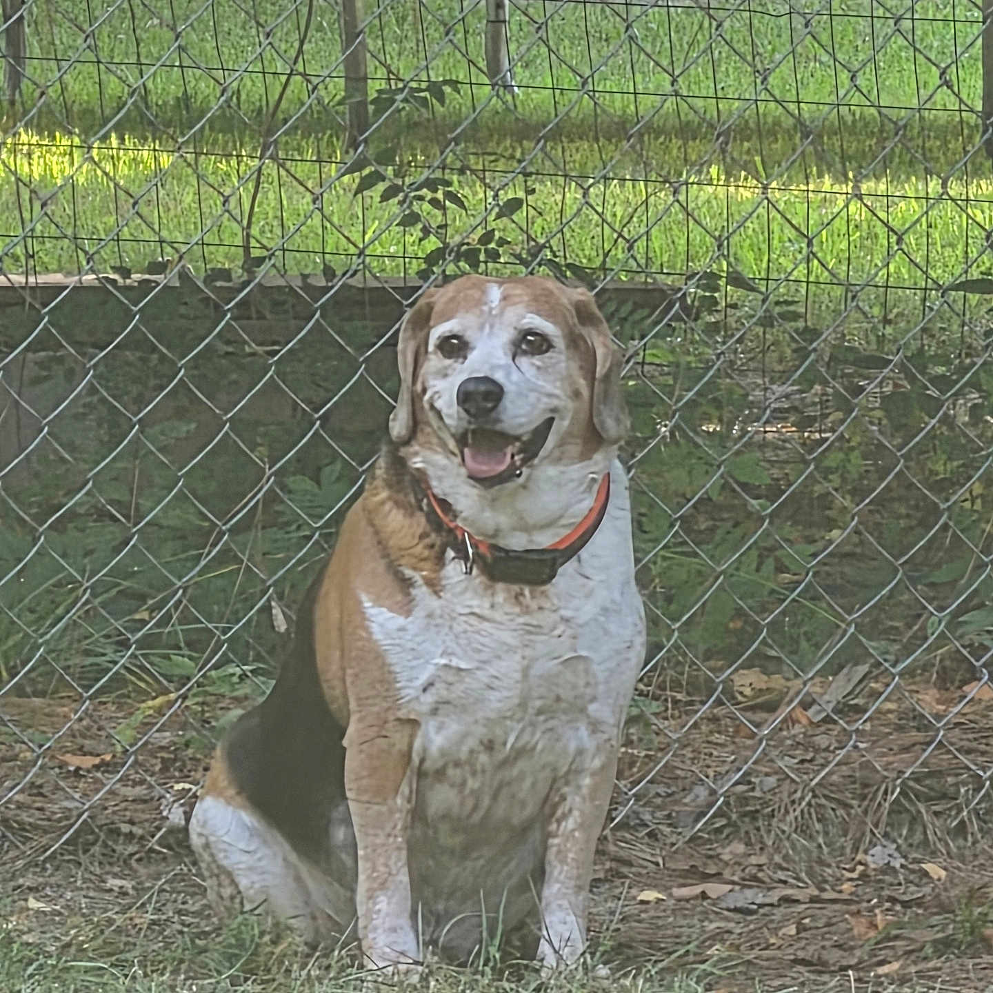 Duke