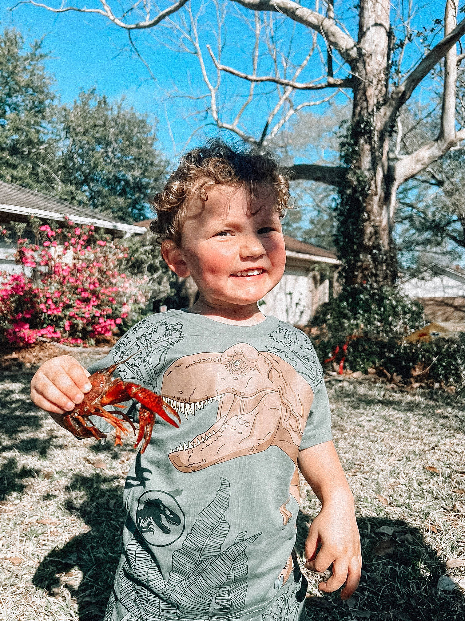 Raidyn is registered to the contest to win money with this photo: botany, child, flower, fun, gesture, grass, hand, happy, joy, leisure, people_in_nature, person, pink, plant, sky, sleeve, t_shirt, toddler, tree, twig