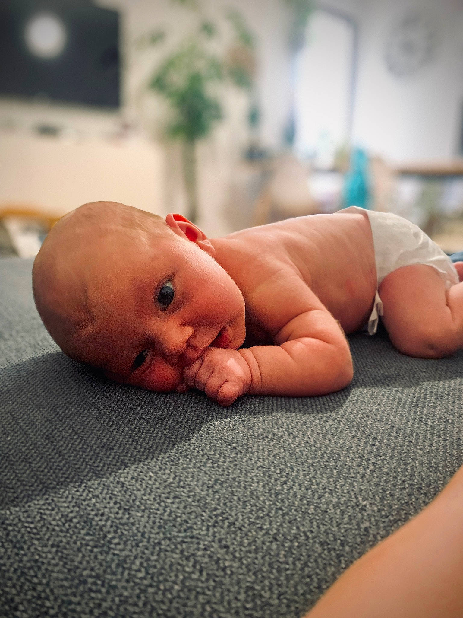 Antonella a rejoint le concours — aidez-le/la à gagner de superbes lots ! arm, baby, cheek, chest, child, comfort, elbow, finger, floor, flooring, hand, human_body, knee, nail, person, skin, stomach, thigh, thumb, toddler