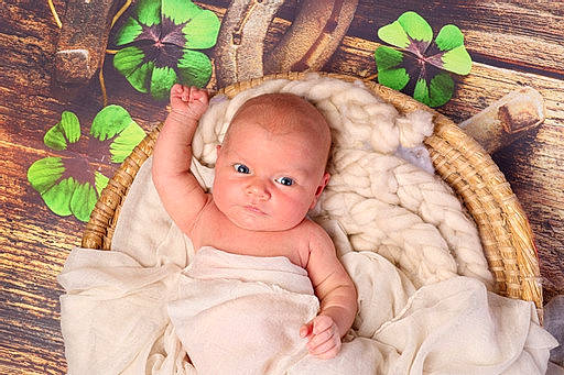 Antonella participe au concours pour gagner de l'argent avec cette photo : baby, baby_toddler_clothing, brown, cheek, child, fashion_accessory, grass, green, happy, headgear, leaf, organ, pattern, person, plant, sitting, skin, smile, toddler, twig